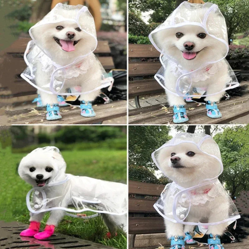 Casaco de Chuva Pet Raincoat